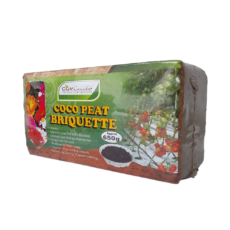 20231219_135919-PhotoRoom.png-PhotoRoom