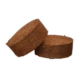 R TYPE-PhotoRoom.png-PhotoRoom