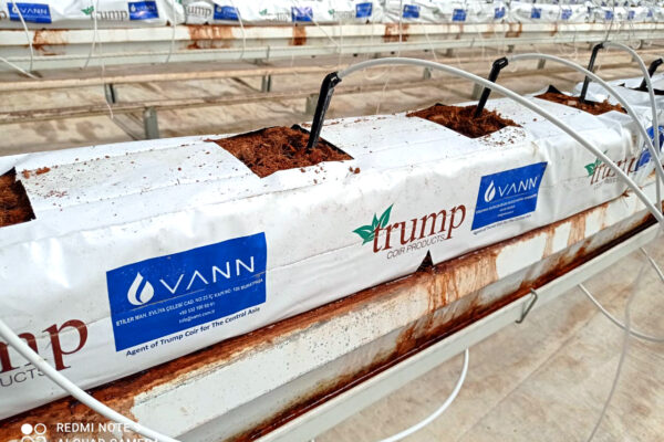 WhatsApp Image 2021-09-13 at 1.25.35 PM (1)