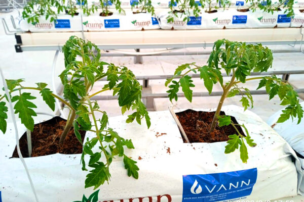 WhatsApp Image 2023-01-12 at 12.39.21