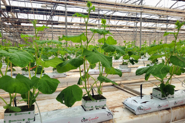 WhatsApp Image 2023-02-24 at 09.28.57